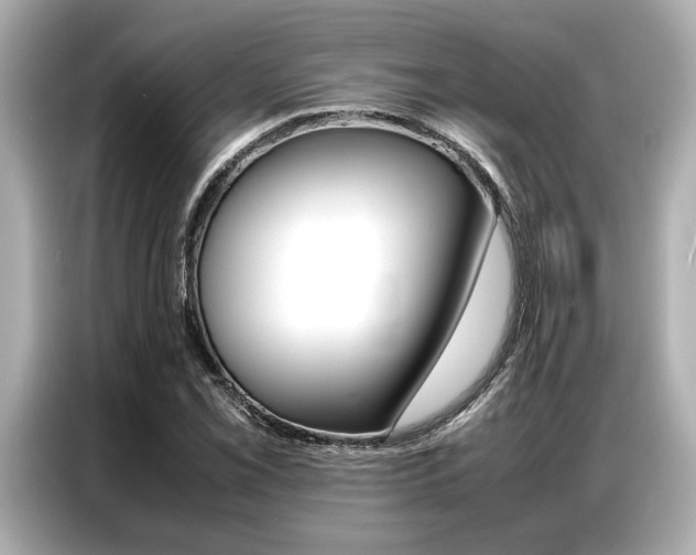 X0000087061069200704180932