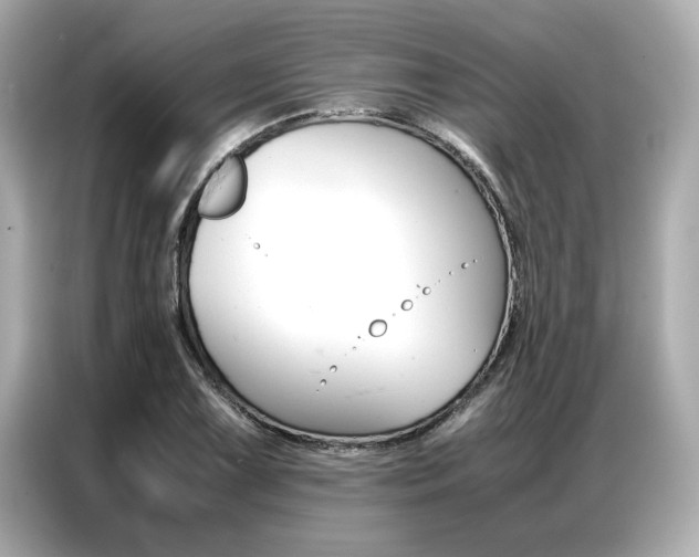 X0000087061075200704180932