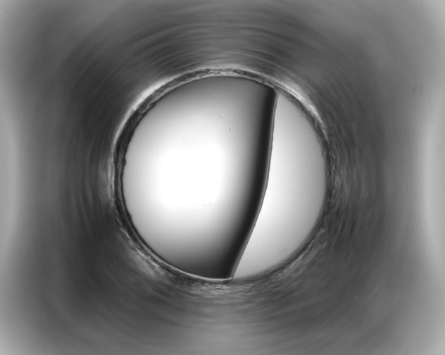X0000087061076200704180932