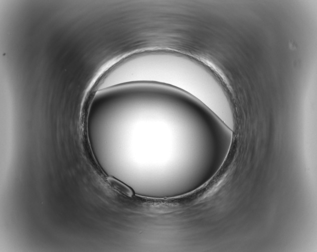 X0000087061077200704180932