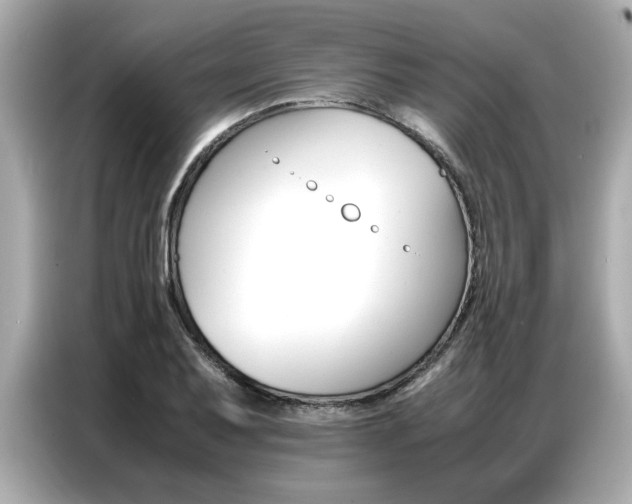 X0000087061079200704180932