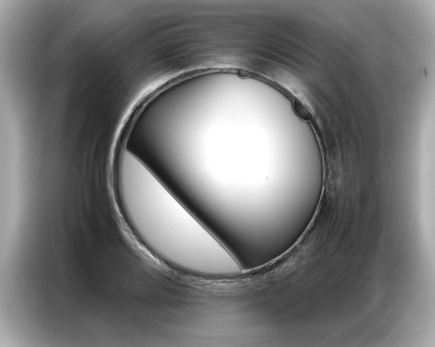 X0000087061080200704180932