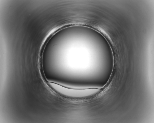 X0000087061085200704180932