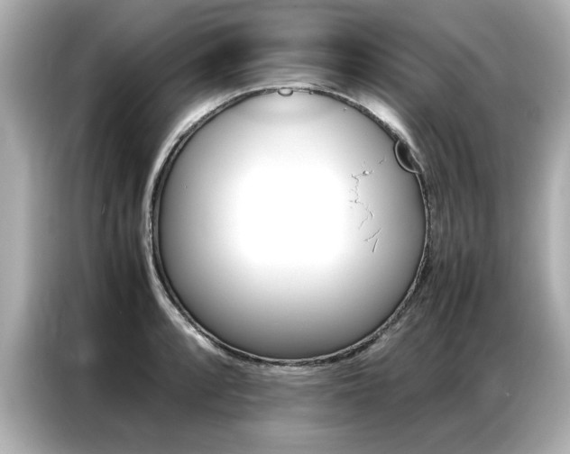 X0000087061088200704180932