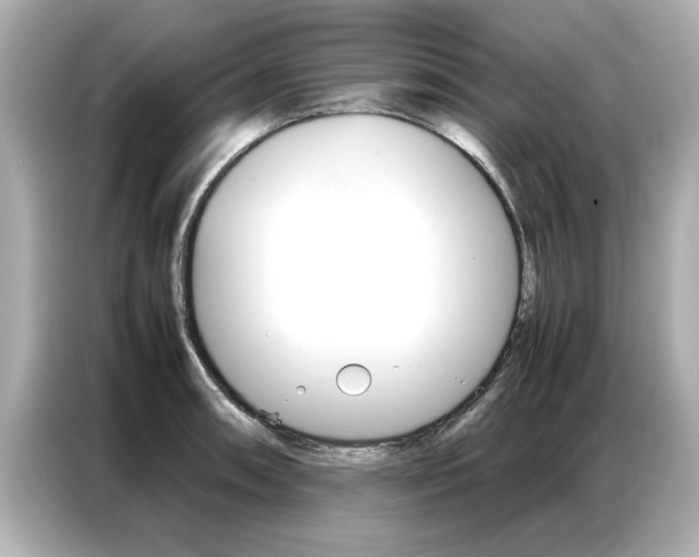 X0000087061090200704180932