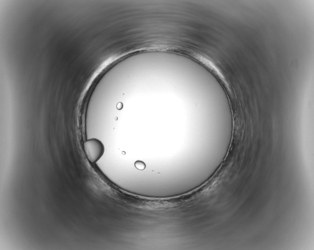X0000087061091200704180932
