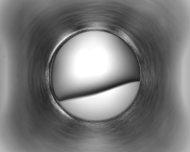 X0000087061092200704180932