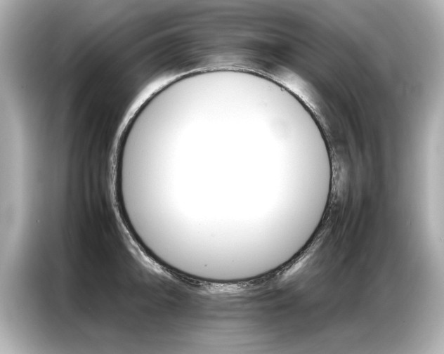 X0000087061094200704180932