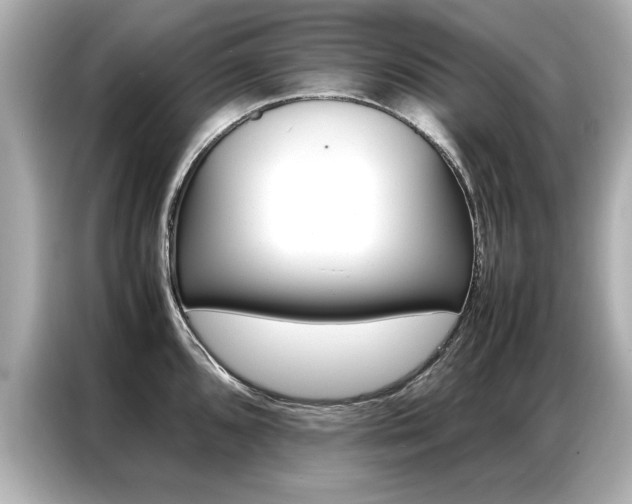 X0000087061096200704180932