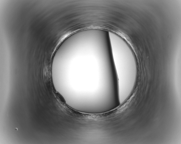X0000087061097200704180932
