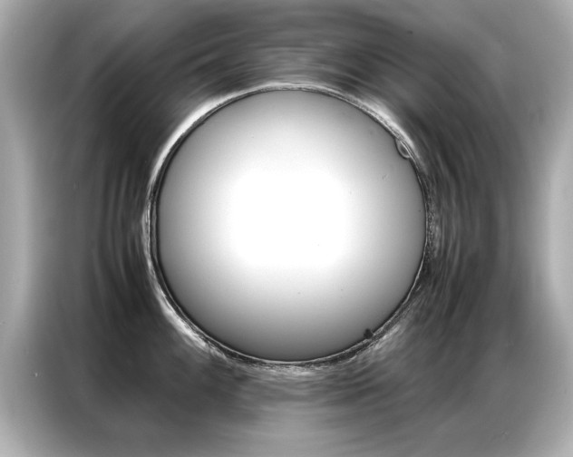 X0000087061100200704180932