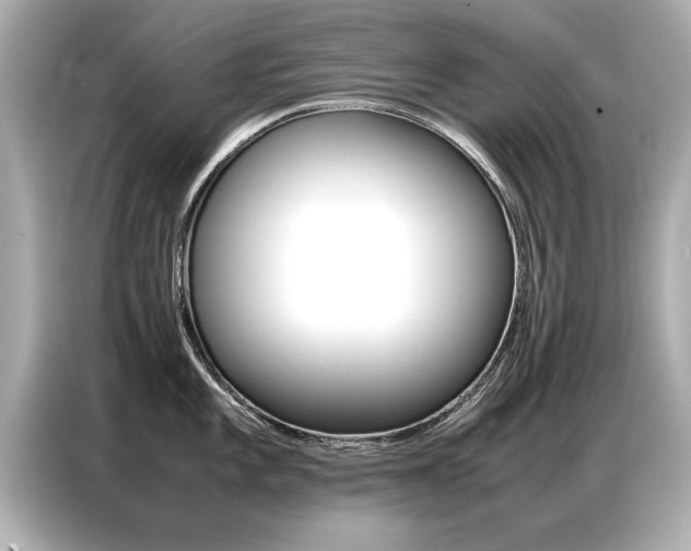 X0000087061101200704180932