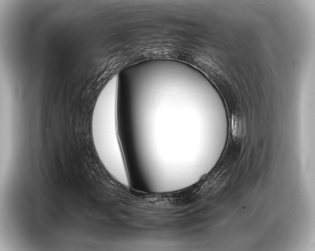 X0000087061107200704180931