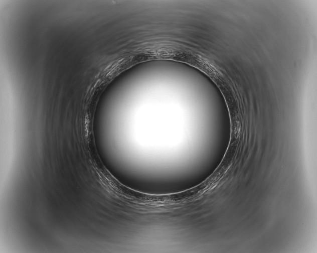 X0000087061108200704180931