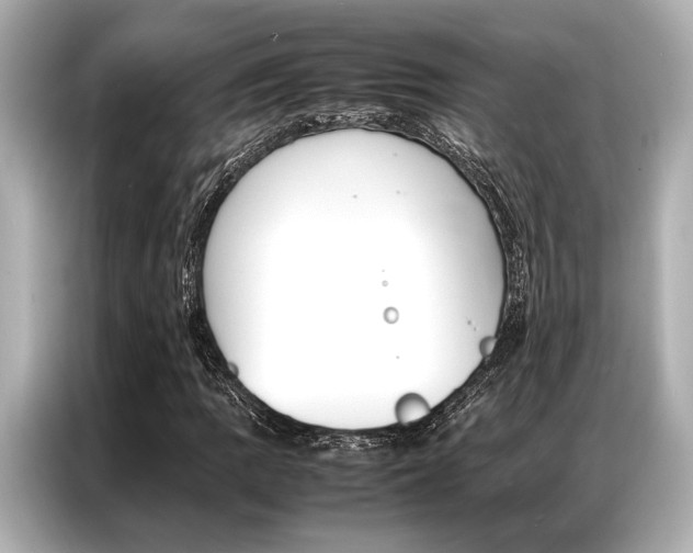 X0000087061109200704180931