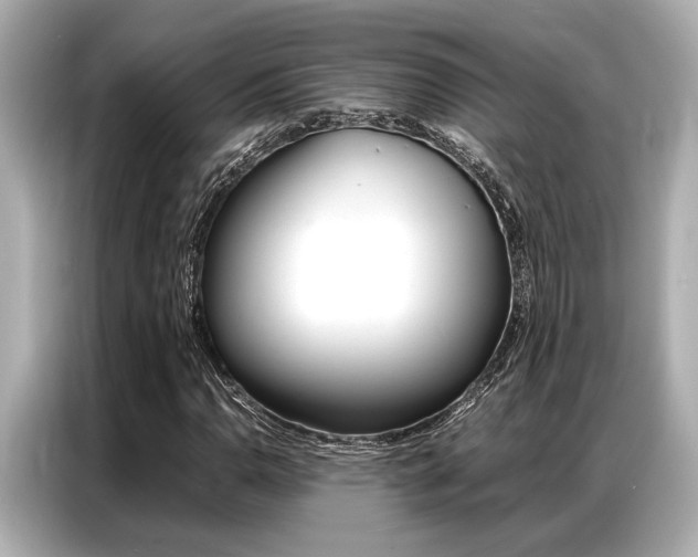 X0000087061110200704180931