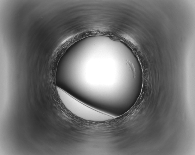 X0000087061112200704180931