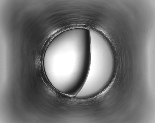 X0000087061113200704180931