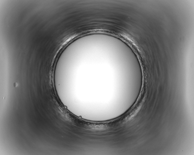X0000087061121200704180931