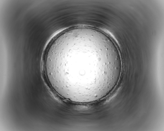 X0000087061125200704180931