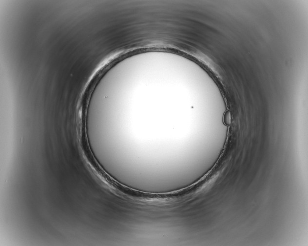 X0000087061126200704180931