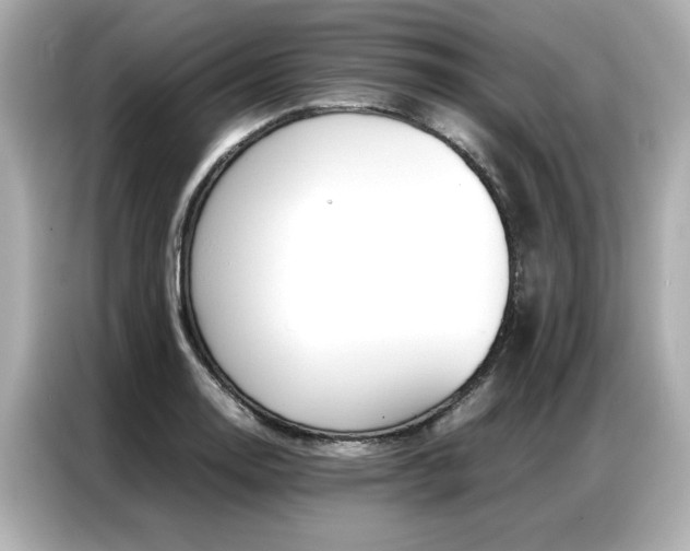 X0000087061130200704180931