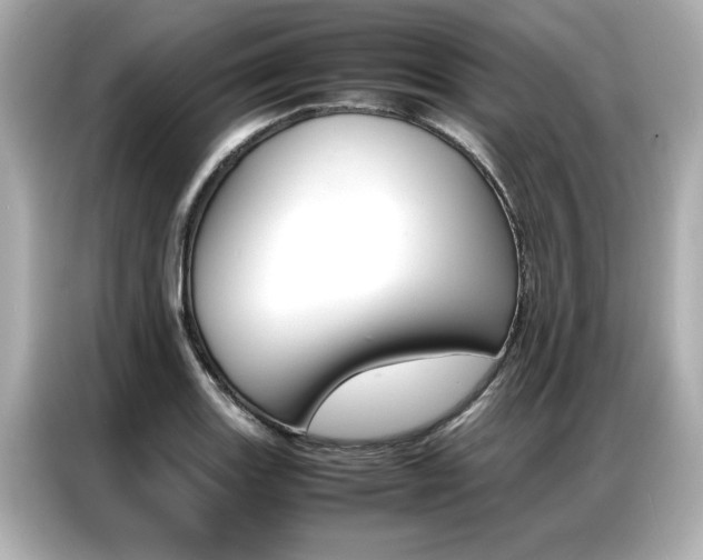 X0000087061131200704180931