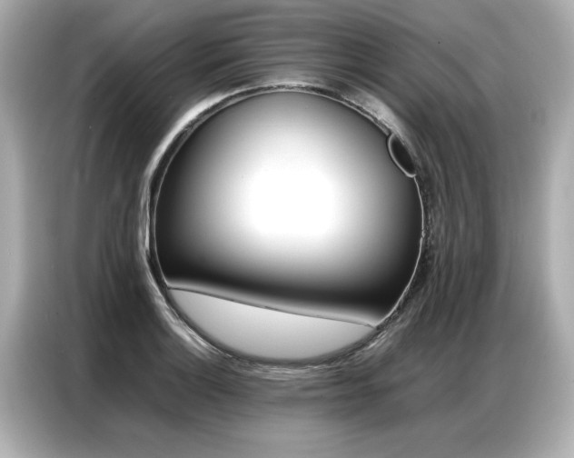 X0000087061132200704180931