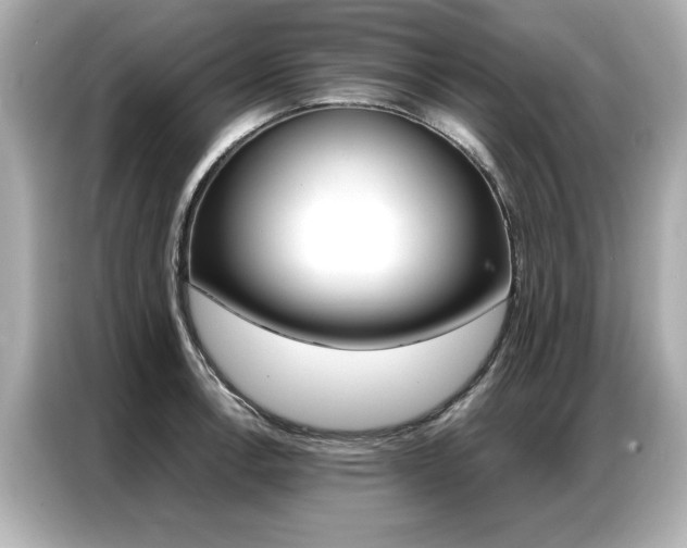 X0000087061138200704180931