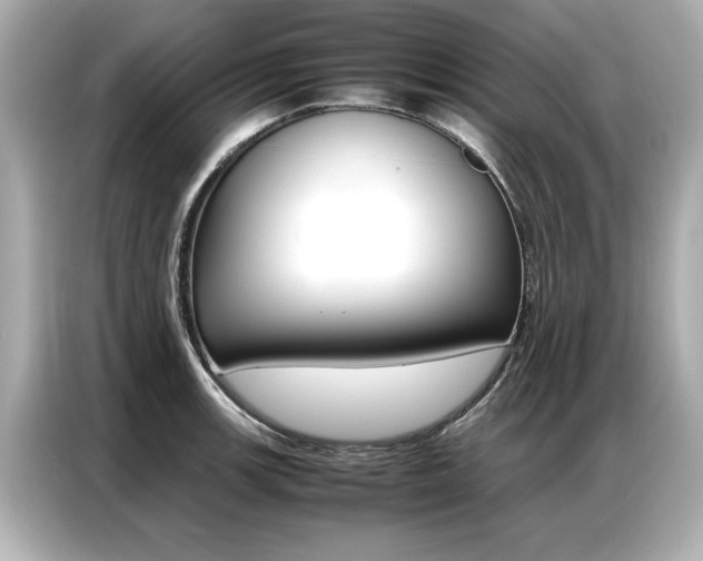 X0000087061139200704180931