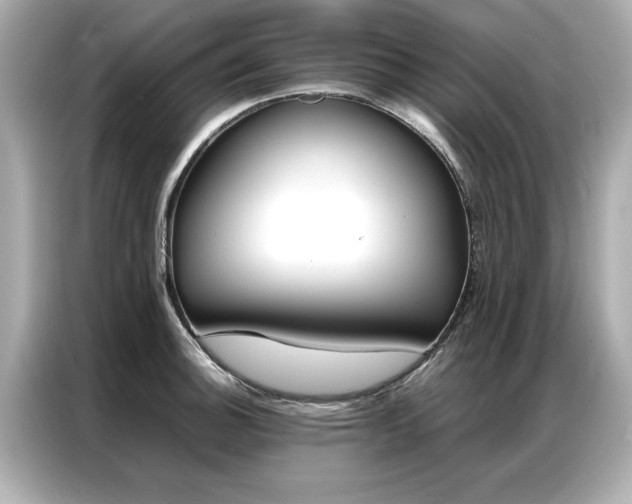 X0000087061140200704180931