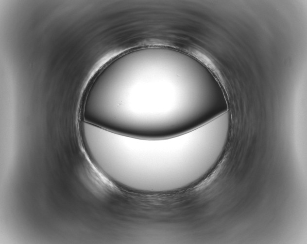 X0000087061141200704180931