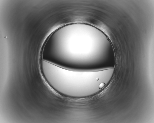 X0000087061142200704180931
