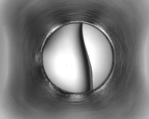 X0000087061145200704180931