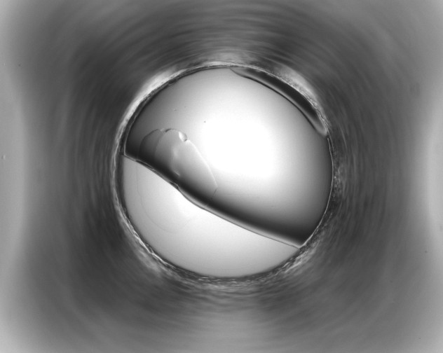 X0000087061146200704180931