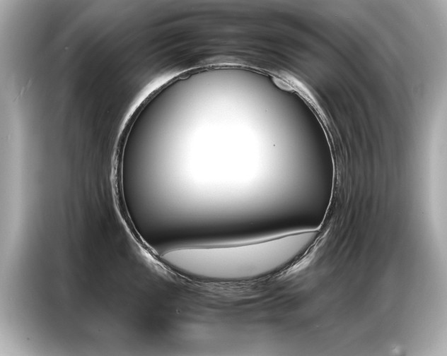 X0000087061149200704180932