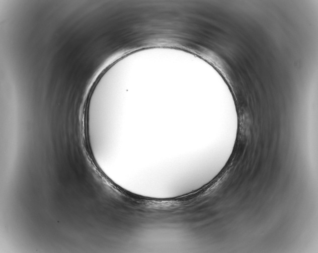 X0000087061150200704180932