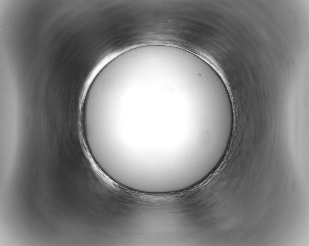 X0000087061152200704180932
