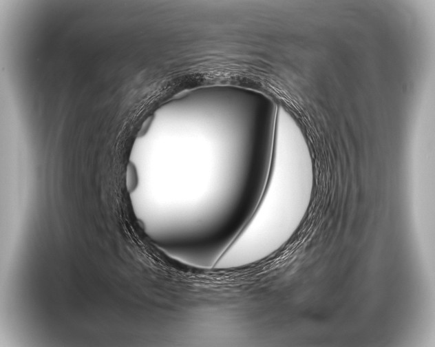 X0000087061153200704180931