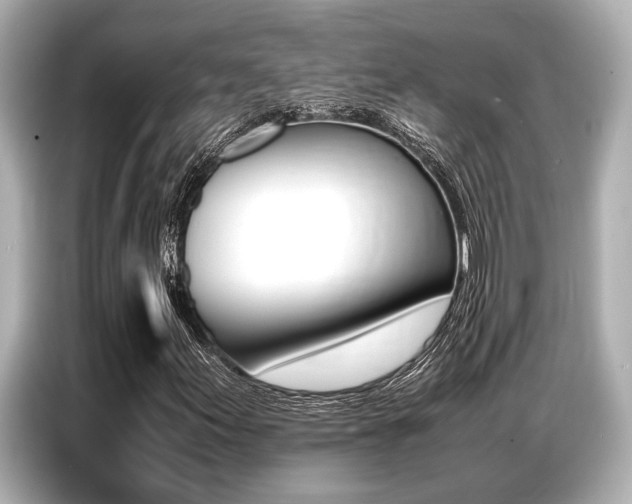 X0000087061155200704180931
