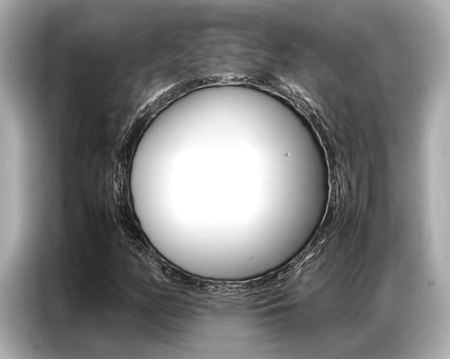 X0000087061158200704180931