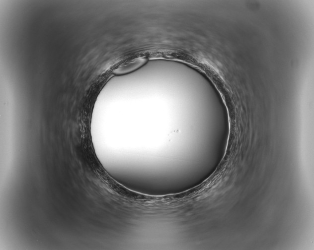 X0000087061159200704180931