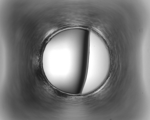 X0000087061163200704180931