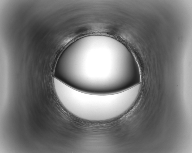 X0000087061169200704180931