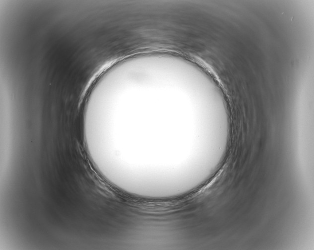 X0000087061171200704180931