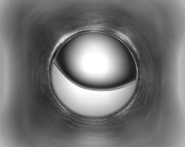 X0000087061176200704180931