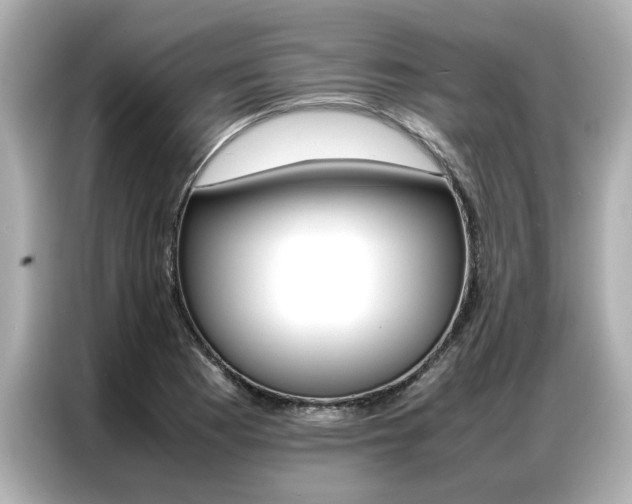 X0000087061177200704180931