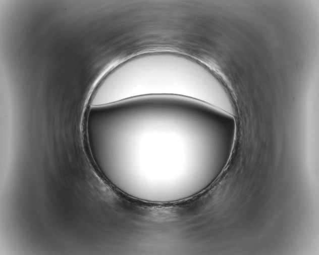 X0000087061181200704180931