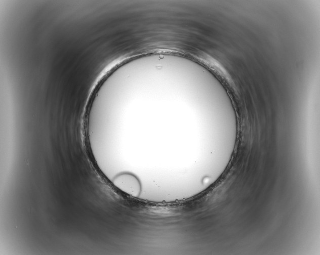 X0000087061182200704180931