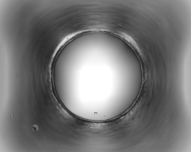 X0000087061184200704180930